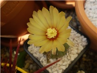 2c0ab6eb-Picture 2408.jpg